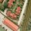 Crash Course: Orthophoto Imagery